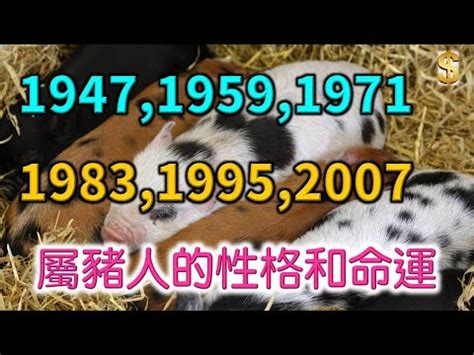 1983 豬|【1983屬豬】1983屬豬者的命運與運勢：深入解析，助您掌握未。